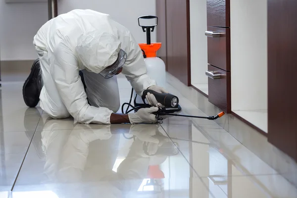 Say Goodbye to Pests with Professional Pest Control Las Vegas post thumbnail image