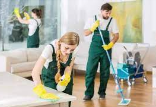 Neat and Tidy: The Art of Domestic Housekeeping Mastery post thumbnail image