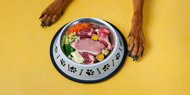 Pawsitively Fresh: Why Raw Meat Is Ideal for Dogs post thumbnail image