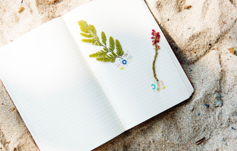 Unveiling the Best Gratitude Journals: A Comprehensive Review post thumbnail image