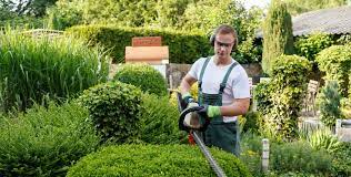Commercial Landscape Mastery: Grounds Maintenance in London post thumbnail image